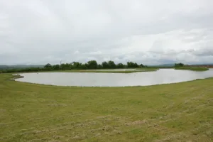 fishinglakesdorsettodbermanor