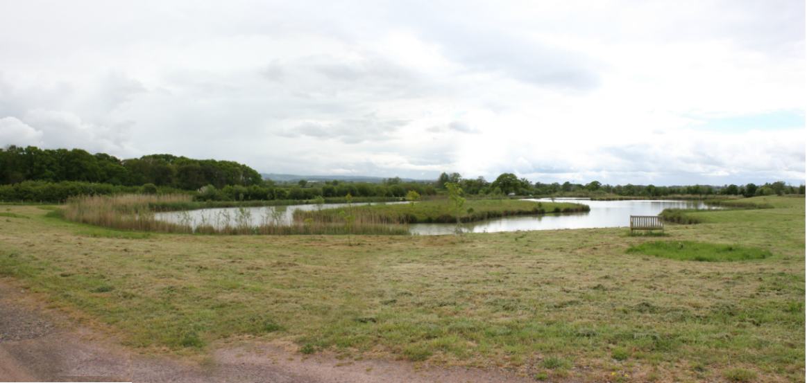 matchfishinglakesdorsettodbermanor